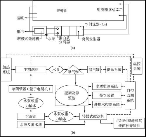 带详细施工图 水泥池 循环水养殖模式各有什么优点